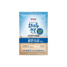 샘표 한여름눈꽃 굵은소금 5kg. x 2개, 5kg