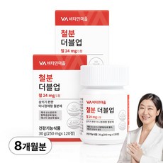 비타민마을 철분 더블업 미니 정제형 철분제, 120정, 2개