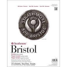 Strathmore Bristol 500 Series Bristol plate surface 11 x 14 inch paper 15 sheets, 1個