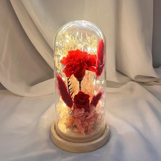 은은한 2송이 빨강 조명등 장미 카네이션 99720pc 1(ea), 색상, 1개