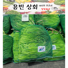 ( 용빈 상회 ) 국내산 햇 마늘쫑 1kg 2kg 3kg 5kg 10kg내외, 1박스