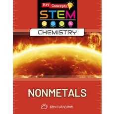 (外文書)Nonmetals Library Binding, Brown Bear Books, English
