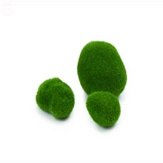 빛보배랑 가짜 이끼 돌 세트 10입 야외정원인테리어