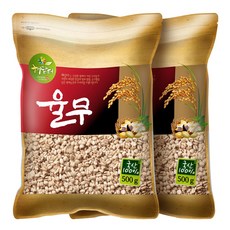 현대농산 국산 율무 500g, 2개