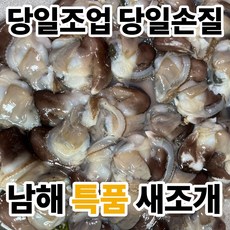 [특등급] 남해 자연산 손질 새조개 당일조업 당일손질, 1개, 특품 200g