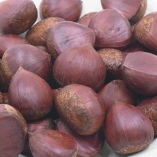 국내산 공주 햇밤 대 3kg 알밤 가을 간식 명절 제사용