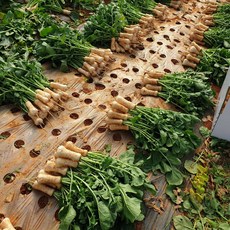 고창황토밭 알타리 총각무 초롱무 지호네농장, 1개, (6단내외)_14kg