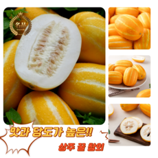 [굿피플] 참외 성주참외 성주참외못난이 미니참외 친환경참외 성주참외가정용 고당도참외, 1박스, 가정용 참외 3kg 로열과