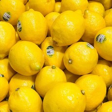 팬시레몬 생레몬 과일 10과, 1개