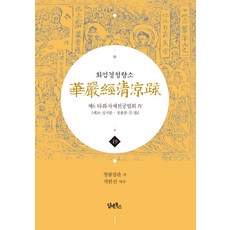 華嚴經清涼疏 19： 第六 他化自在天宮法會(4)：第26 十地品 正宗分 ⑨ ⑩, 담앤북스