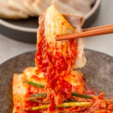남도청년 100% 국내산 전라도 맛김치 썰은배추김치, 5kg, 1개