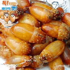 진동 햇미더덕 횟감용 고현미더덕마을 산지직송, 1개, 2kg