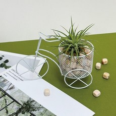 아트박스/토단 자전거를 탄 편백큐브와 이오난사 - 1인세트, 단품없음, 단품없음