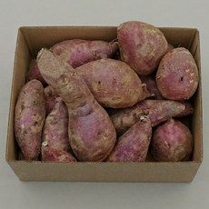 레드이츠 꿀고구마 프리미엄 못난이, 1개, 혼합 못난이 10kg