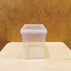 【蟲蟲底家】1.5L 1500ML 飼育盒(全新現貨) 獨角仙/鍬形蟲/幼蟲/成蟲飼養 方形容器 昆蟲飼育用品專賣店, 1個, 全新品, 透明