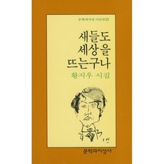 새들도 세상을 뜨는 구나, 문학과지성사, 황지우 저