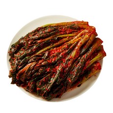 맛장군 오늘담근 갓김치, 1개, 2kg
