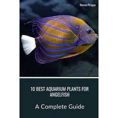 (영문도서) 10 Best Aquarium Plants for Angelfish: A Complete Guide Paperback, Independently Published, English, 9798876037879