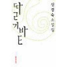 /상태중급/딸기밭 신경숙/일반소설/