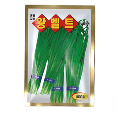 동원 왕벨트 부추 씨앗 1000립, 1개