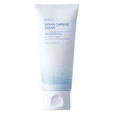 와이즐리 세라마이드 캡슐 아토 보습 크림, 1개, 100ml