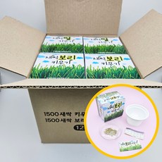 1500 새싹 보리 밀 키우기 12개입 1박스 - 키우기시리즈 신선함 관찰 기르기 실험 자연과학 교재, 1개