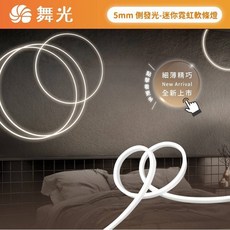 舞光 5mm 側發光迷你霓虹軟條燈, 1個, 室內用DC24V-100W驅動器