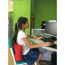 胡桃鉗生活傢飾 3D立體護腰枕，透氣紮實可清洗，適用於辦公室與汽車座椅