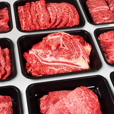 [엄마네한우] 1++등급(7-9) 투뿔한우 꽃등심외 28종 골라담기, 1++등급 한우 차돌박이, 200g, 1개