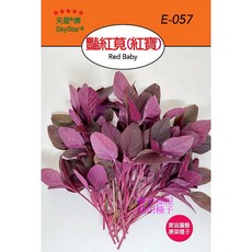 天星牌 豔紅莧(紅寶) Red Baby 種子 E-057, 1包
