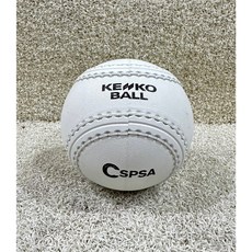 KENKO JOYFUL 軟式壘球 總統盃指定用球 J3P-W, 1個
