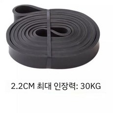 탄성 밴드 풀업 다목적 피트니스 근력 운동 로프 헬스 트레이닝 운동기구 고무줄 근력운동밴드, 두께 2.2CM 블랙 30KG