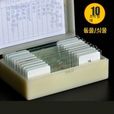 프레파라트 48종 표본 실험도구 식물 현미경 체험, 10장 유리 표본, 기본 색상