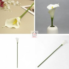 사랑하우스 조화 카라, 화이트, 1개