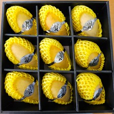 농장에서바로 프리미엄 망고, 3.2kg (9개입), 1박스