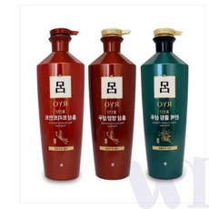 위아리턴 홍삼 편백 샴푸 트리트먼트, 려 홍진단 홍삼영양트리트먼트820ml