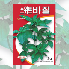 스위트 바질 씨앗 3g [26년포장] 제노바 바질 종자 허브 경신