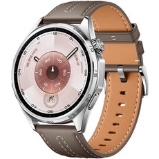 화웨이 GT 6 스마트워치 GPS 46mm 그레이 Atum-B19F, 브라운