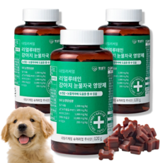 펫생각 강아지 눈영양제 눈물 눈꼽 눈물자국 루테인 영양제 시력강화 항산화 노견 눈물착색 밀크시슬 펫생각 눈건강 밀크씨슬, 3박스