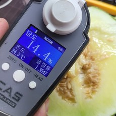 고당도 머스크 메론 세지메론 3수 4수 5수 멜론 선물세트, 1개, 5KG, 03_세지메론(하얀색박스) 5수