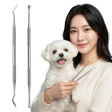 모니키 셀프 치아관리 강아지 고양이 구강관리 기구, 1세트, 실버