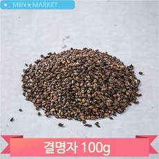 건조 결명자 100g 식수대용 건강차 단맛 고소함 끓여먹는 약초, 1개, 1개