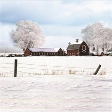 스튜디오배경지 유튜브 설산 링조명 배경 배경지 배경천, 2x1.5m, 1개, 레몬옐로우