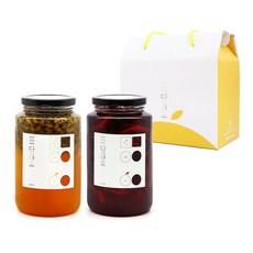 담아요 수제청 2구 선물세트, 1세트, [2구]백향과청+베리청650g