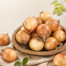 대끼리네 국내산 26년산 햇양파 경북 영천, 1박스, 대 2kg