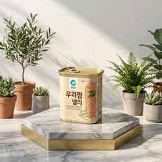 청정원10호(쇼핑백포함) /스페셜ET6/청정원선물세트, 1세트