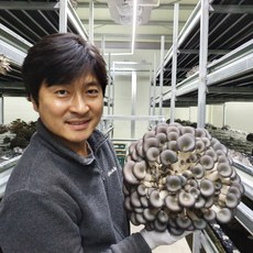 [농장직송]정직하게 키운 미남 느타리버섯 1Kg, 1개