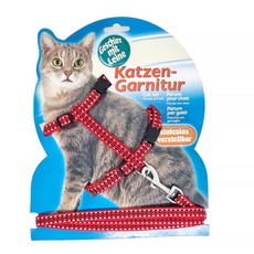 고양이 하네스 세트야광 레드 반려견하네스 편한하네스 고양이가슴줄