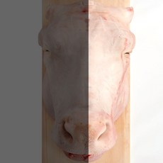 한우거세 소머리 통머리 반마리, 단품