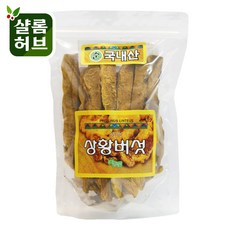 샬롬허브 국산 상황버섯(절) 100g, 1개